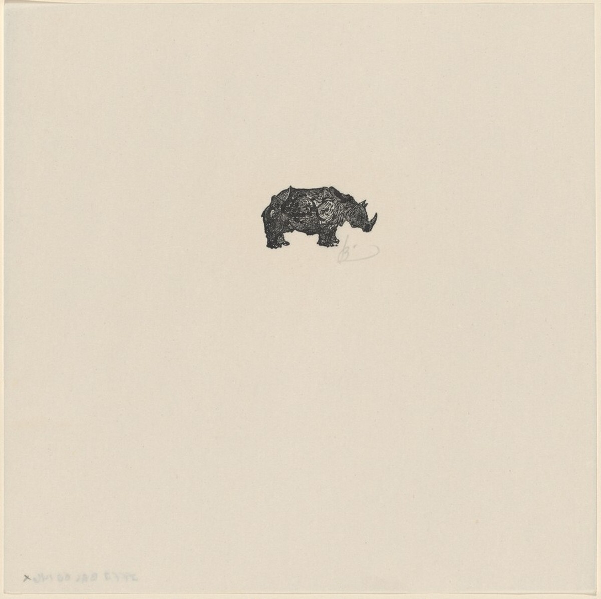 Rhinoceros by Leonard Baskin