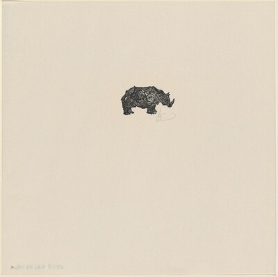 Rhinoceros