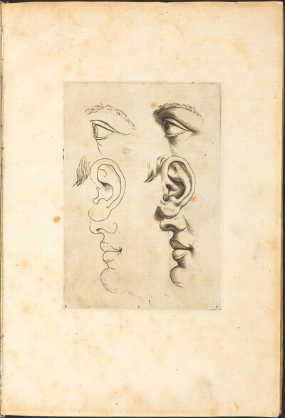 Print from Drawing Book