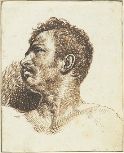 Head of a Man [recto]
