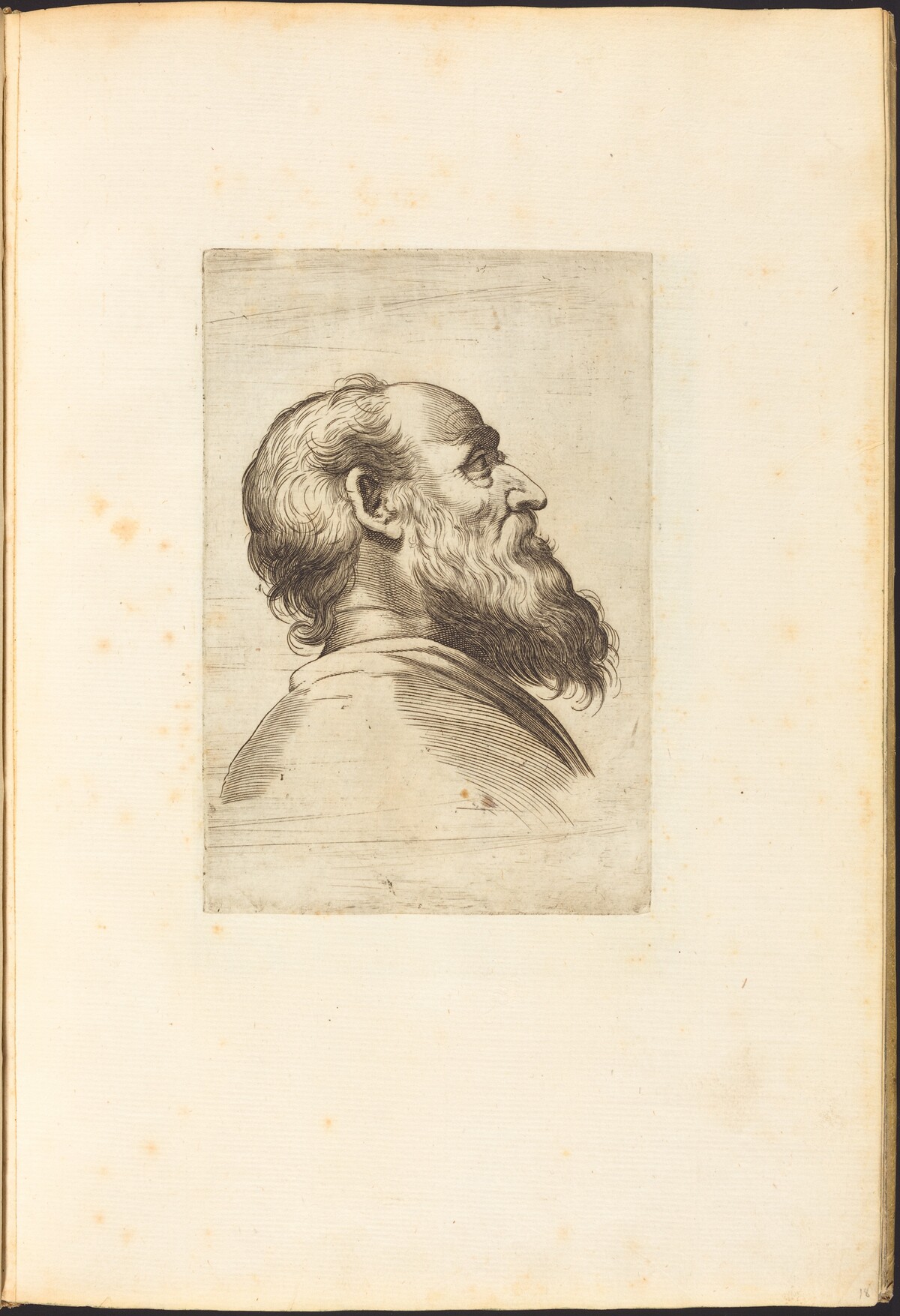 Print from Drawing Book by Luca Ciamberlano