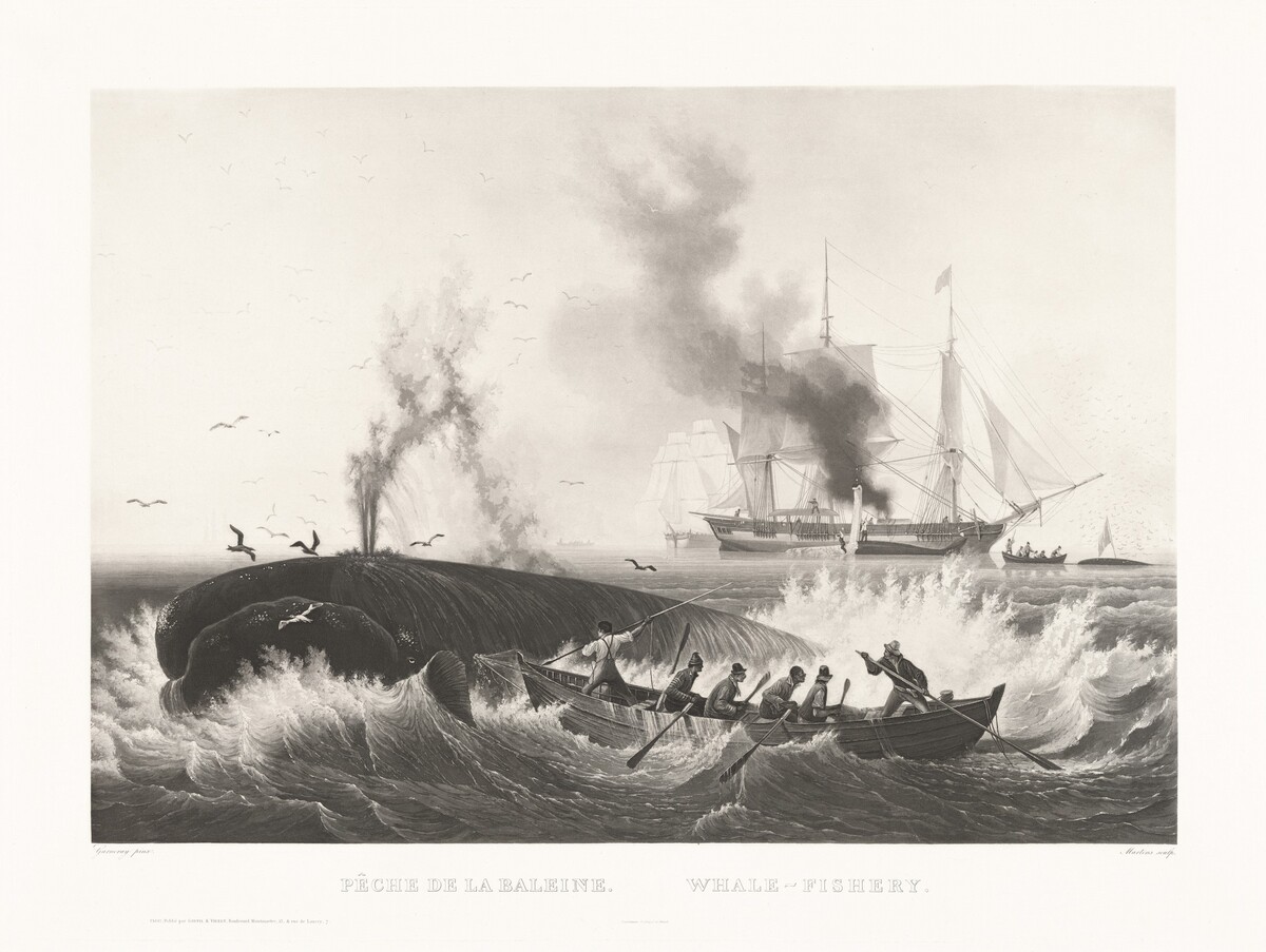 Pêche de la Baleine, Whale-Fishery by Friedrich von Martens, after Louis Garneray, published by Goupil & Vibert