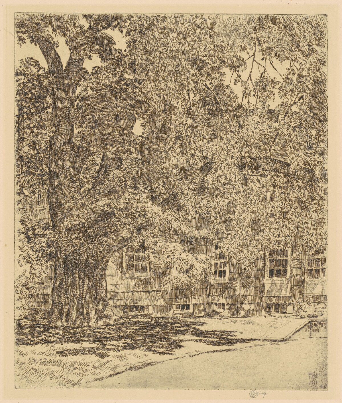 Giant Elm, Easthampton by Childe Hassam