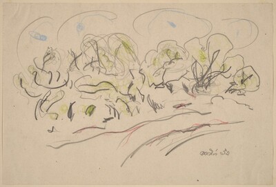 Landscape