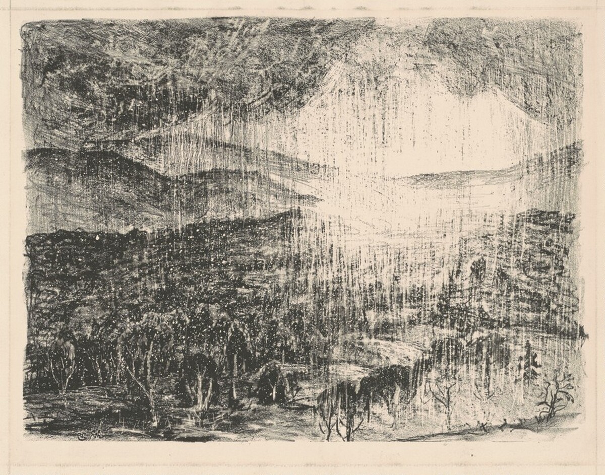 Field in Sunlight by James N. Rosenberg