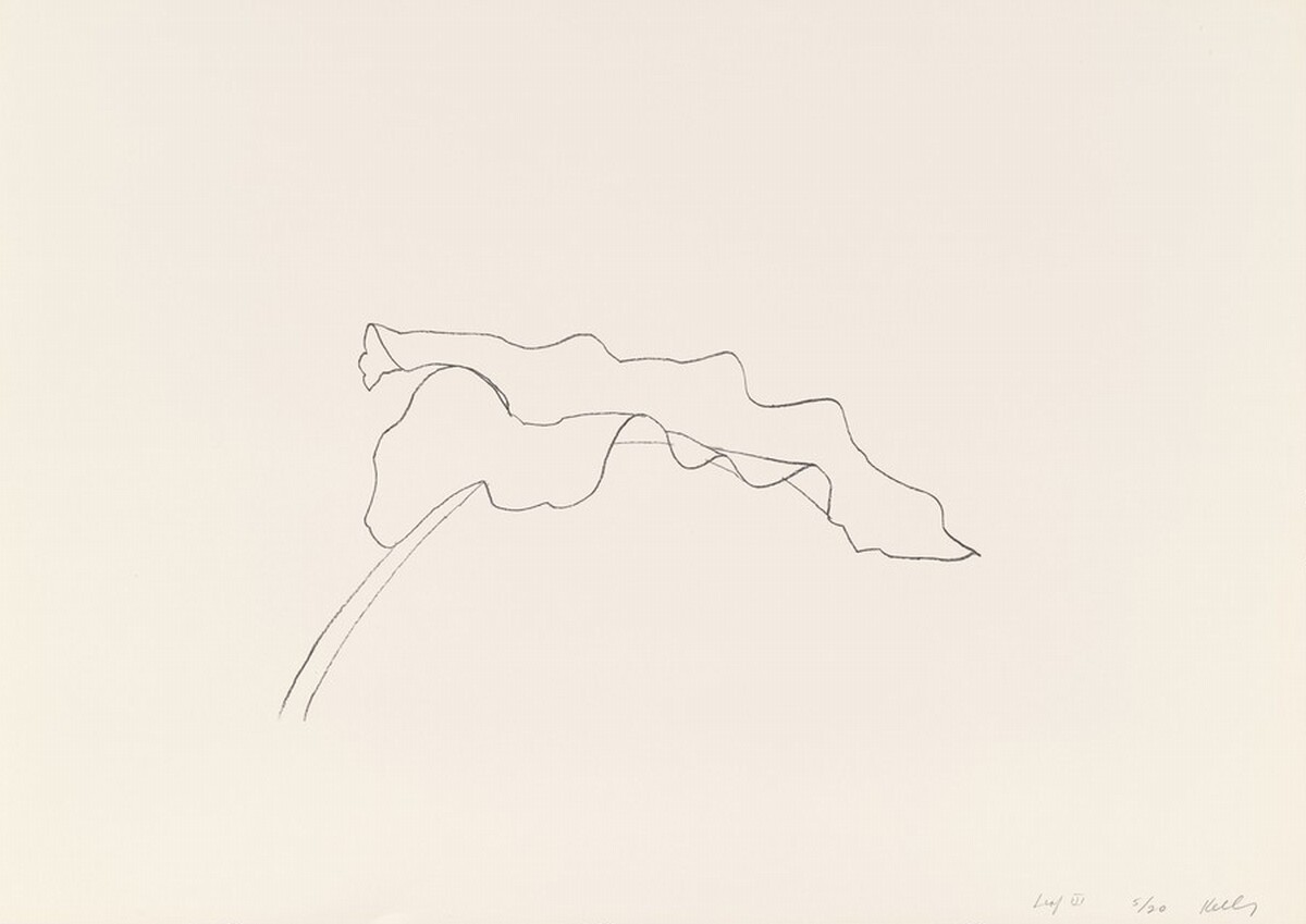 Leaf III by Ellsworth Kelly