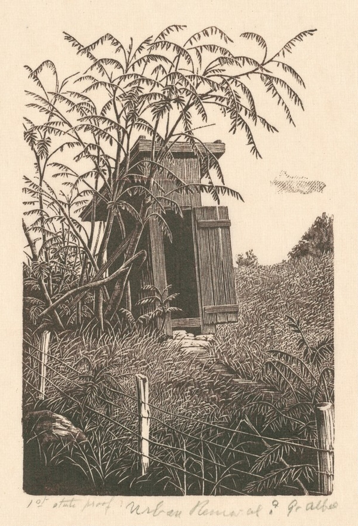 Urban Removal by Grace Albee