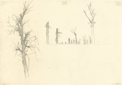 Devastated Trees [verso]