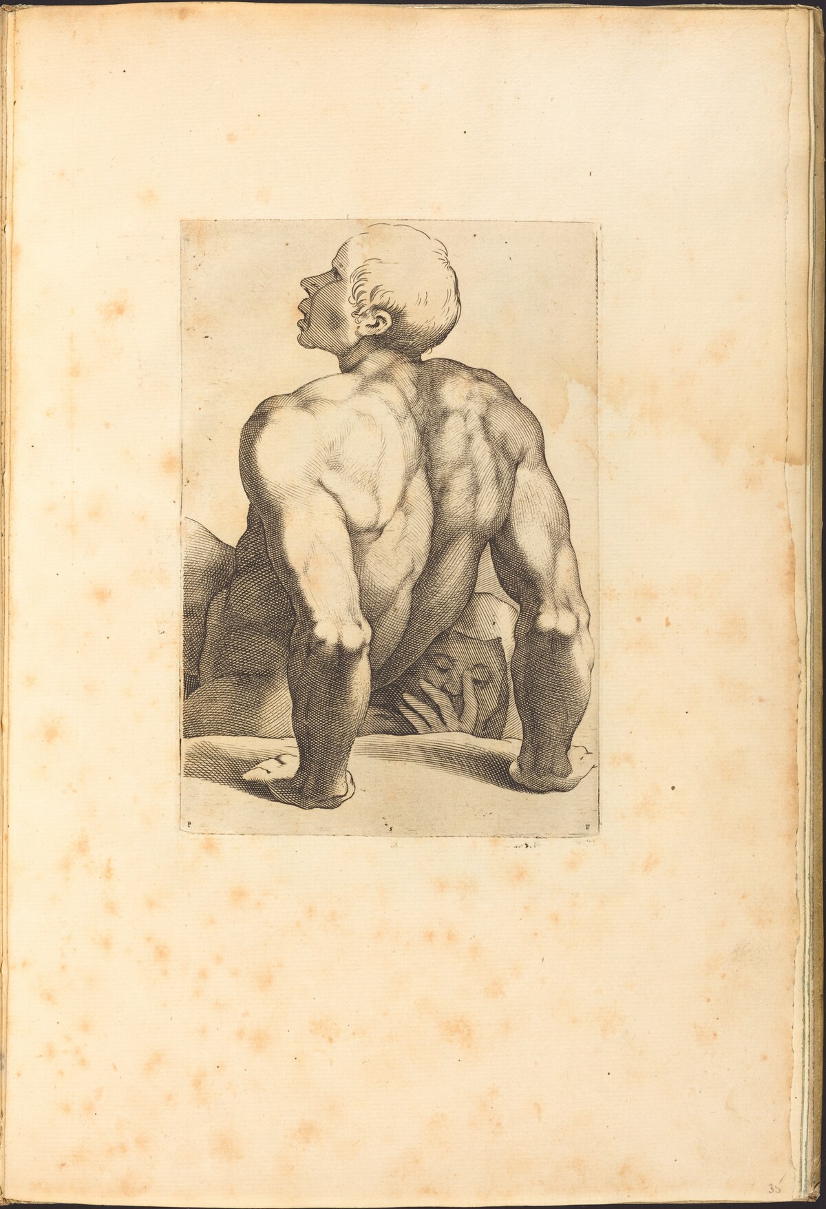 Print from Drawing Book by Luca Ciamberlano