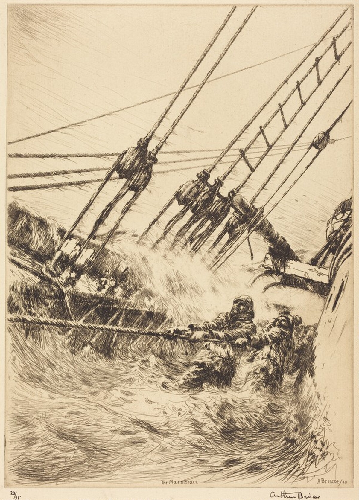 The Main Brace by Arthur Briscoe