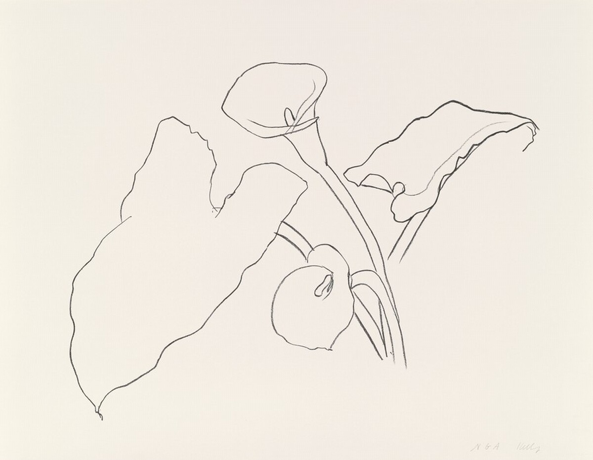 Calla Lily I by Ellsworth Kelly