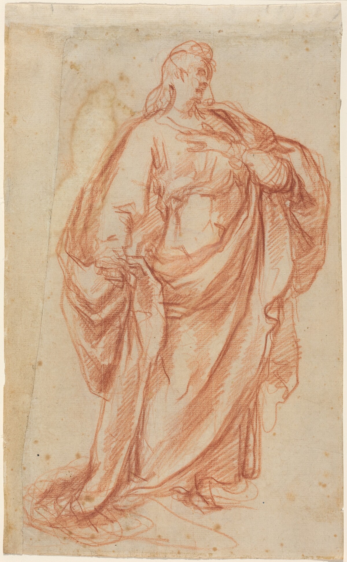 Prudence [recto] by Cherubino Alberti