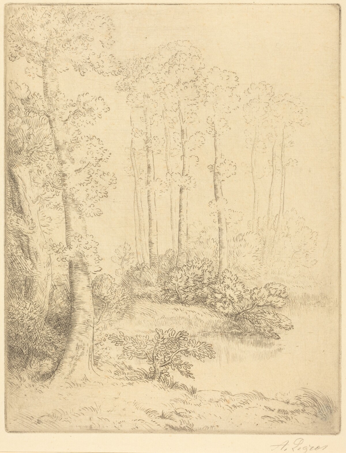 Edge of the Water (Au bord de l'eau) by Alphonse Legros