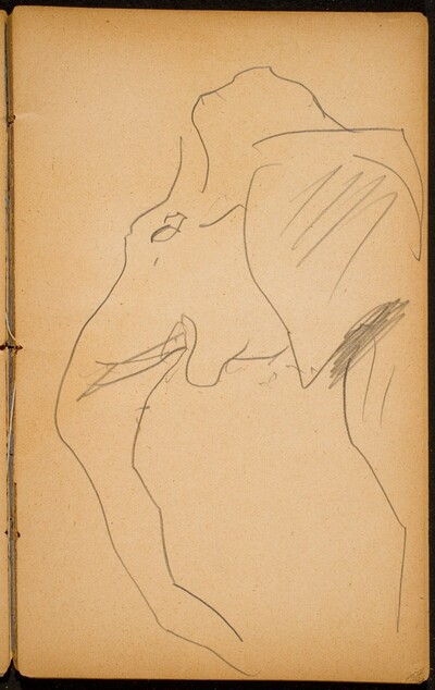 Elefant (Elephant) [p. 23]