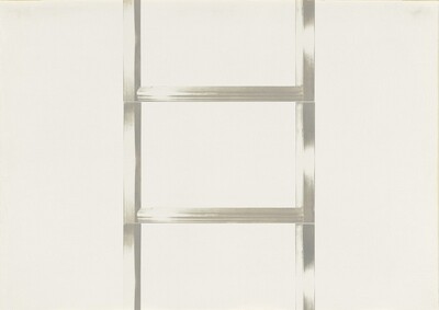 20 Foot Ladder for any Size Wall [VIII]