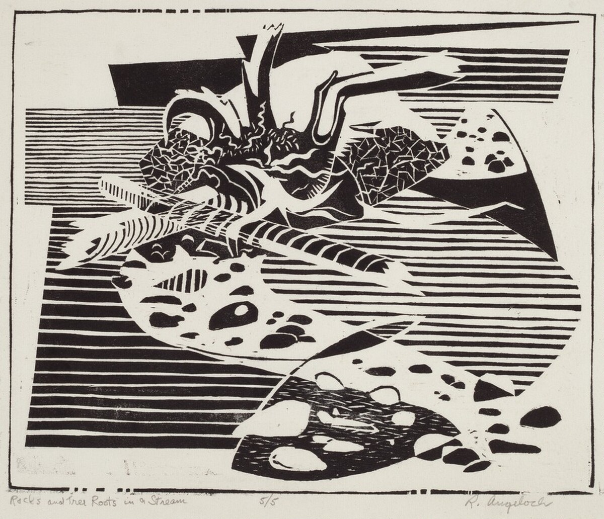 Rocks and Tree Roots in a Stream by Robert Angeloch