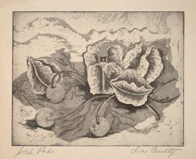 Seed Pods