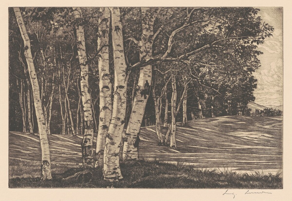 Birch Processional by Luigi Lucioni