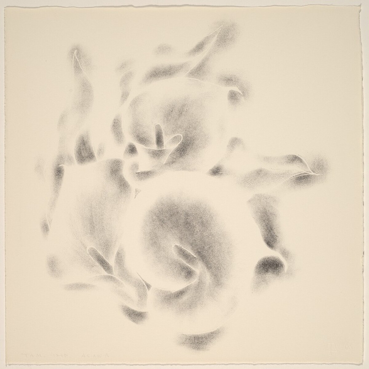 Untitled by Ruth Asawa
