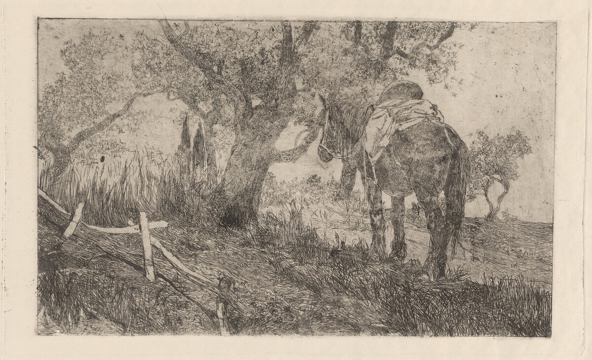 Horse at Midday (Cavallo a meriggio) by Giovanni Fattori