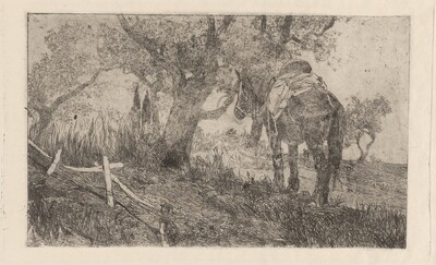 Horse at Midday (Cavallo a meriggio)