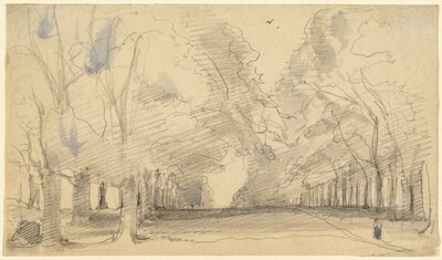 Avenue of Trees