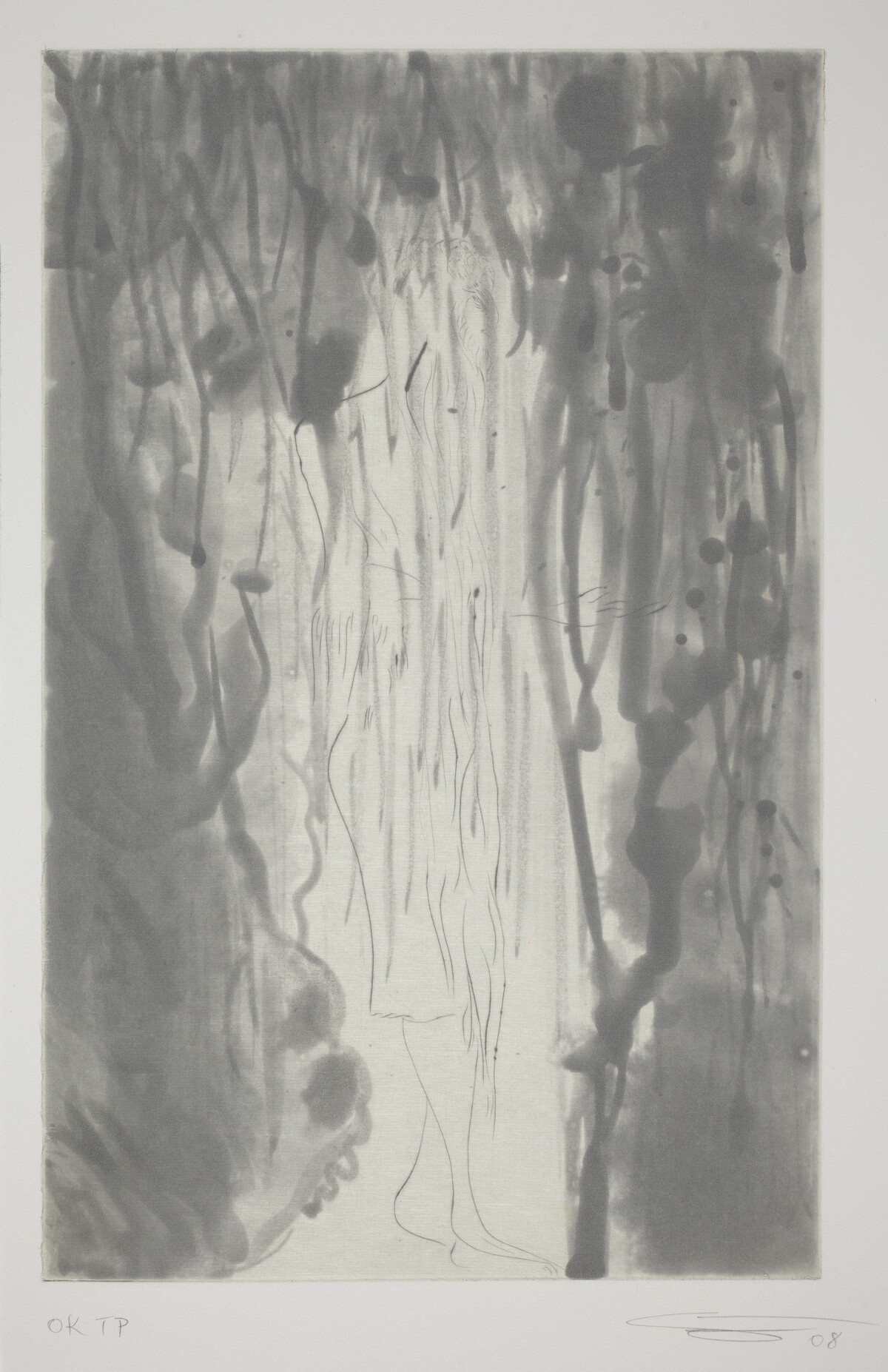 Rainbow - Grey Seale by Chris Ofili