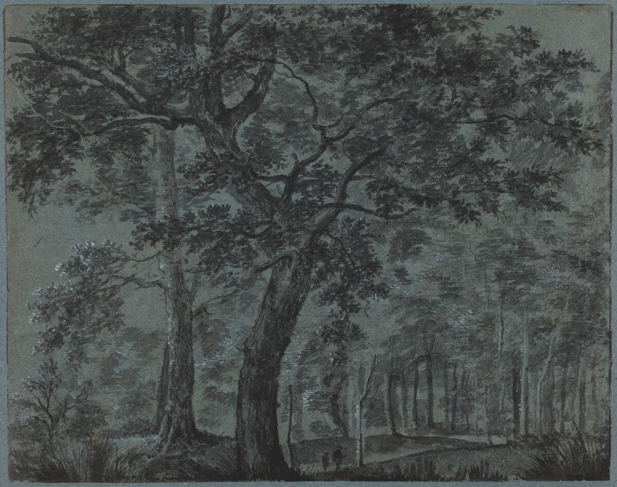 Woods at Night with Travelers by Joris van der Haagen
