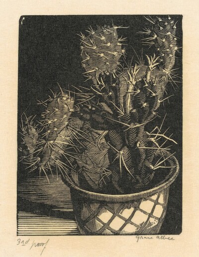 Cacti