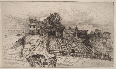 A City Farm—New York