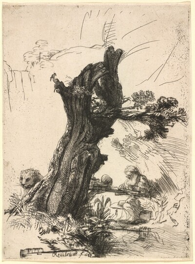Saint Jerome beside a Pollard Willow