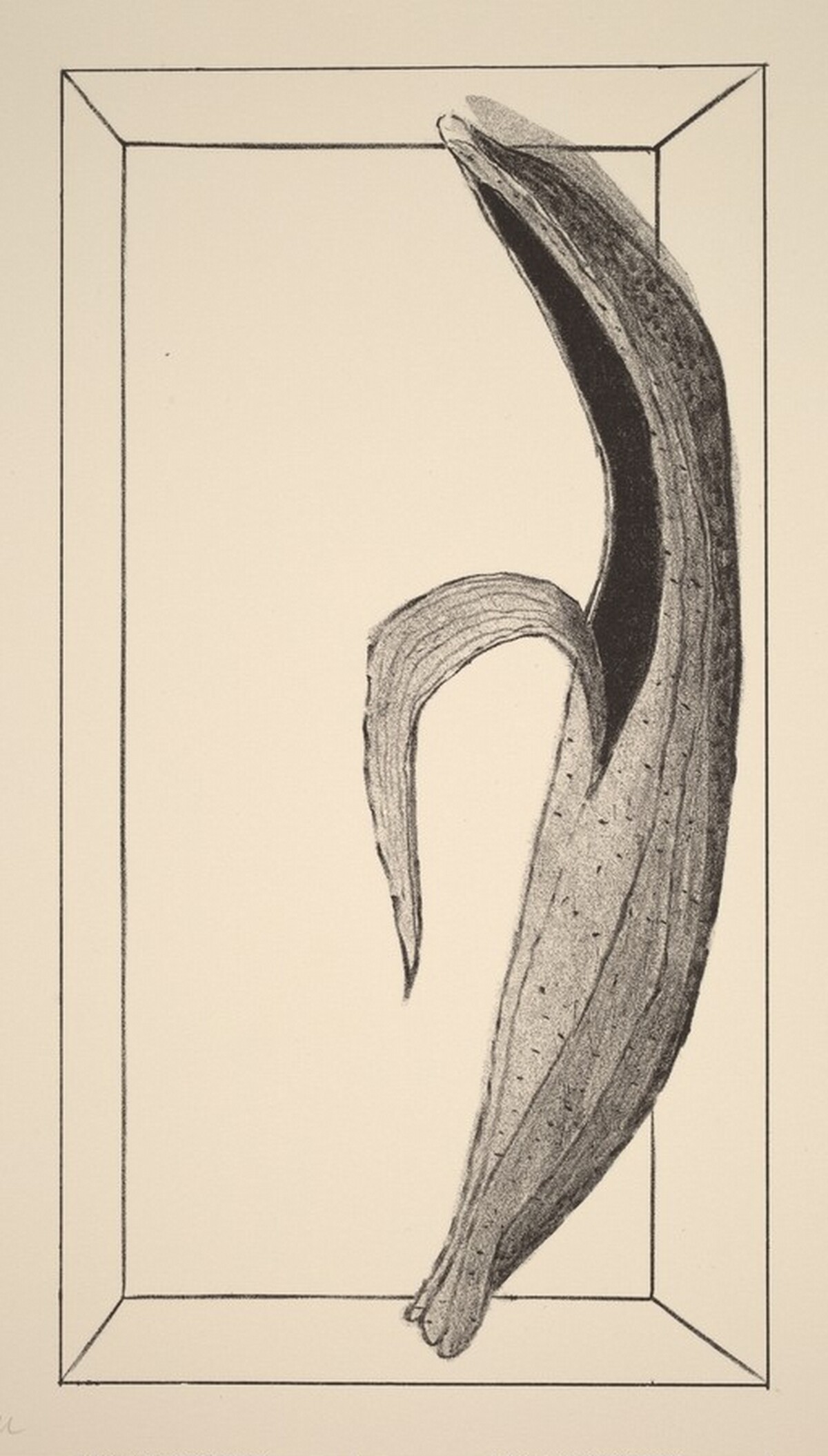 Untitled by James Boynton