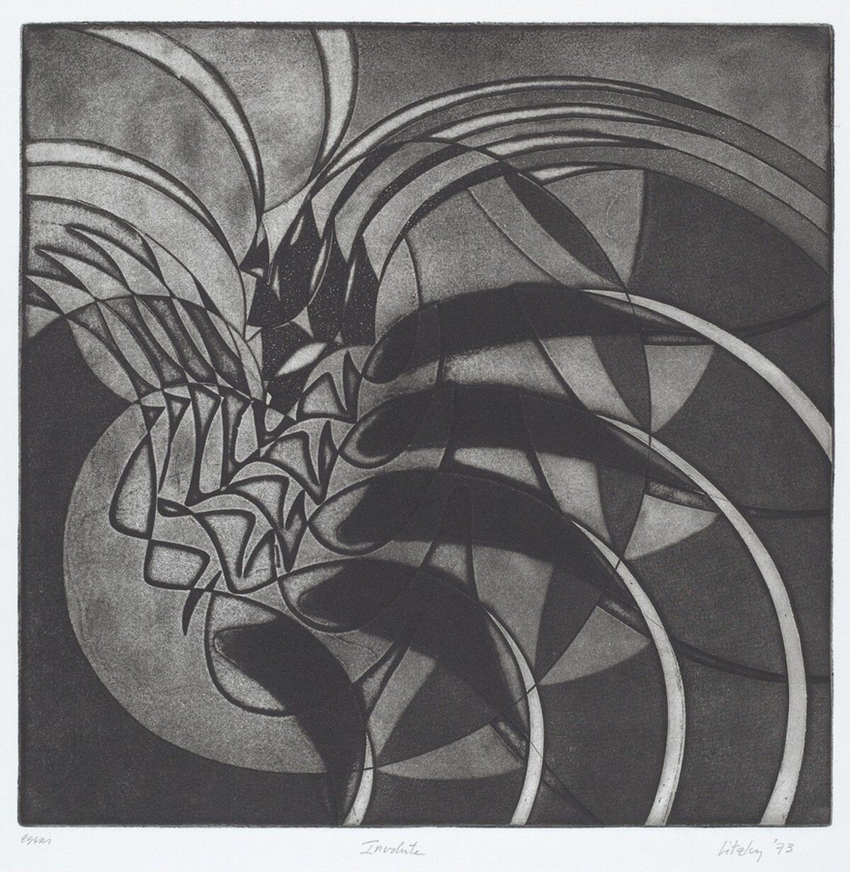 Involute by Paula Litzky