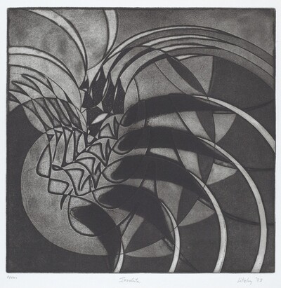 Involute