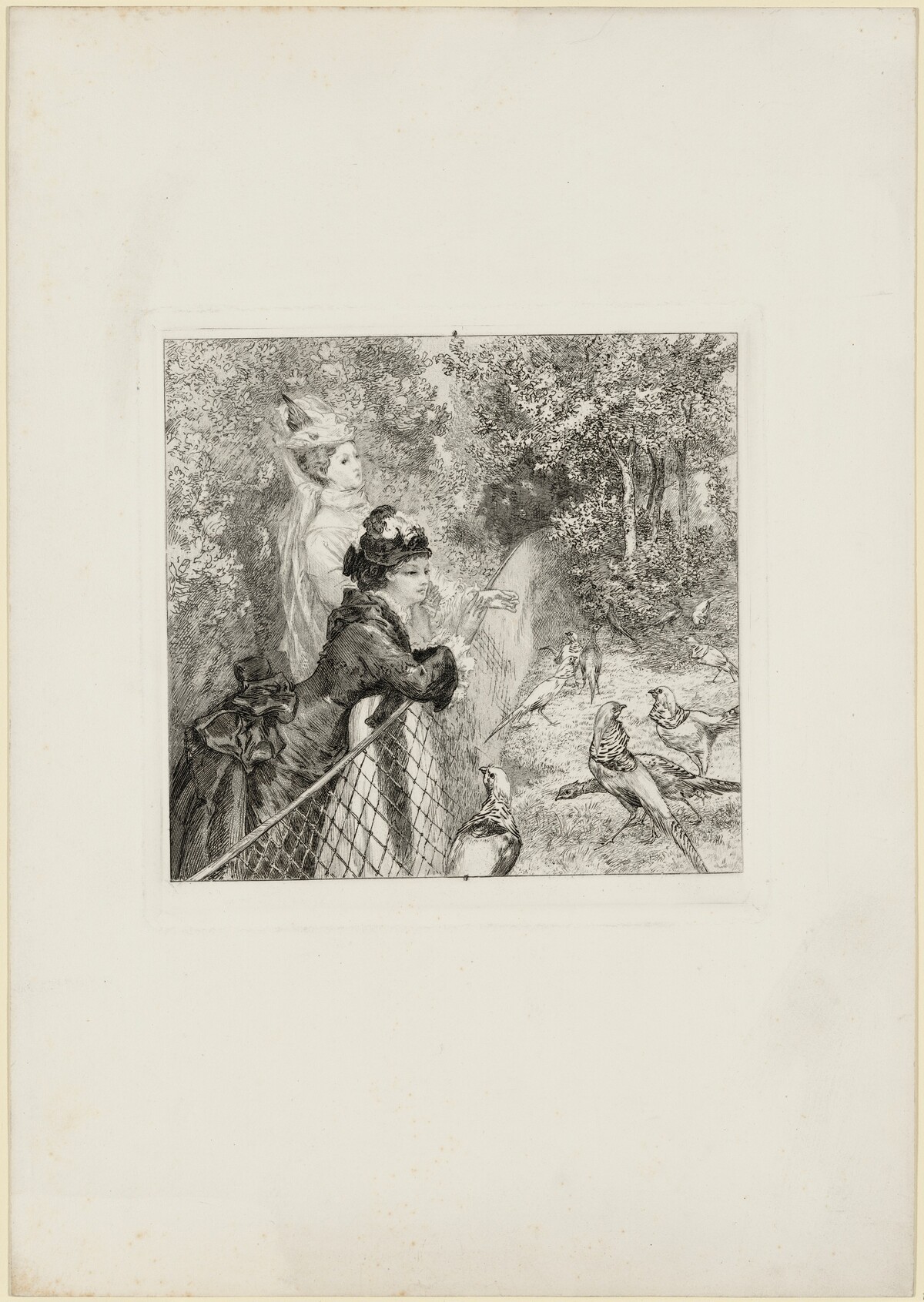Au Jardin d'Acclimatation (In the Zoological Garden) by Félix Bracquemond