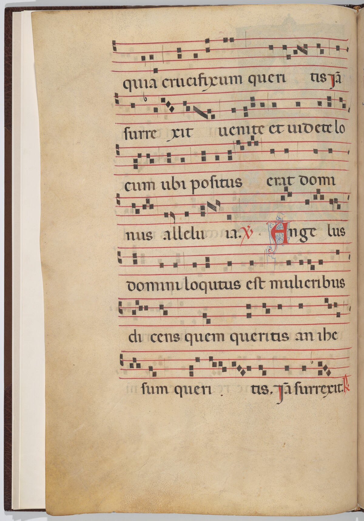 Leaf 1 from an antiphonal fragment (verso) by Italian 13th Century