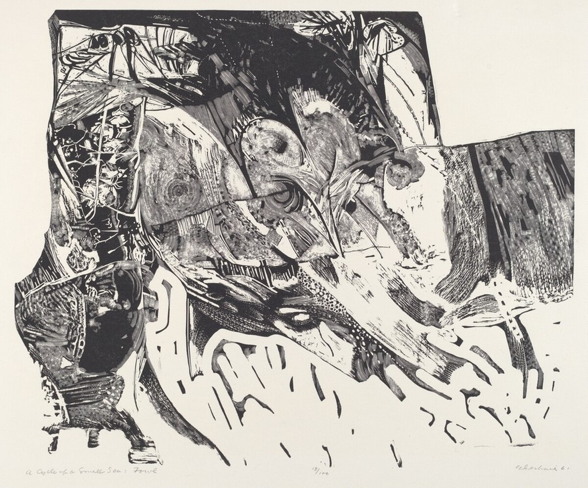 A Cycle of a Small Sea-Fowl by Arthur Deshaies
