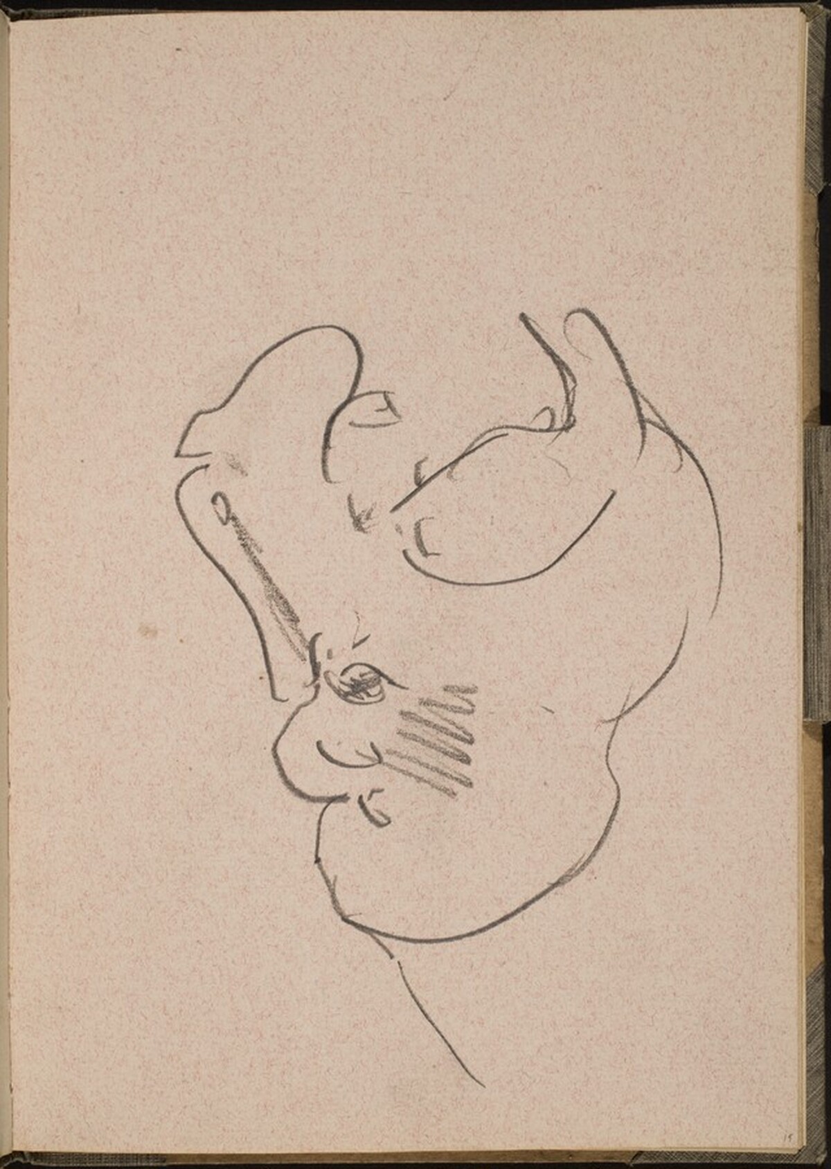 Nilpferdkopf mit geöffnetem Maul (Hippo with Open Mouth) [p. 15] by Max Beckmann