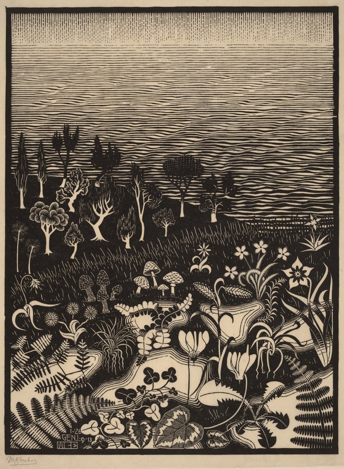 The Third Day of the Creation by M.C. Escher