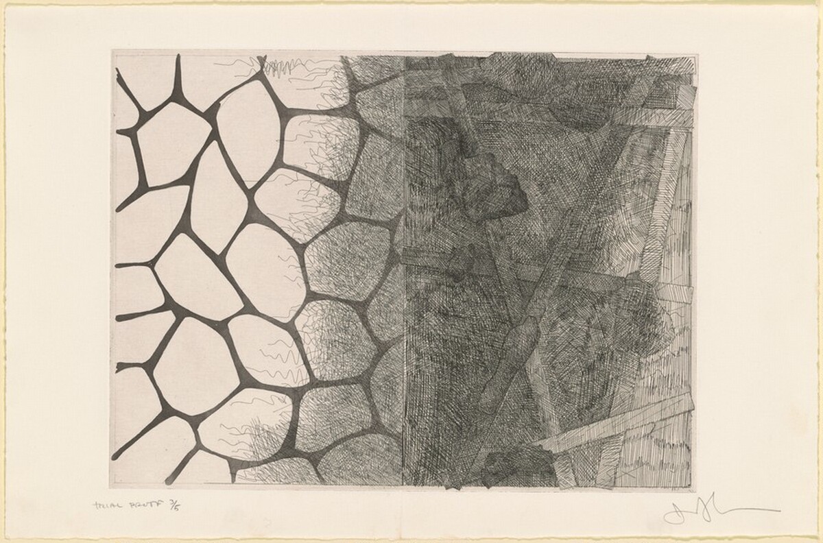Flagstones and Casts [trial proof] by Jasper Johns
