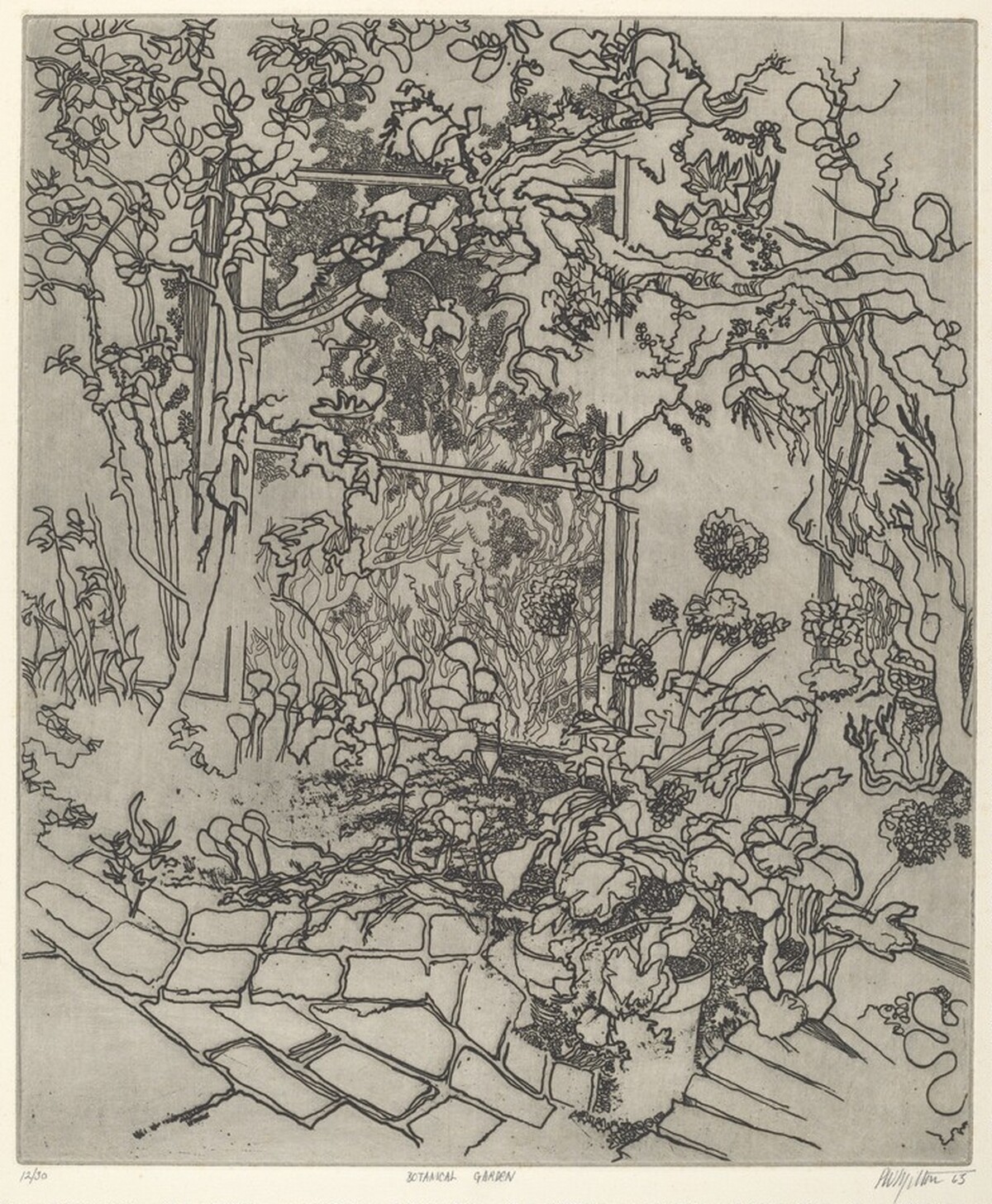 Botanical Garden by Peter Milton