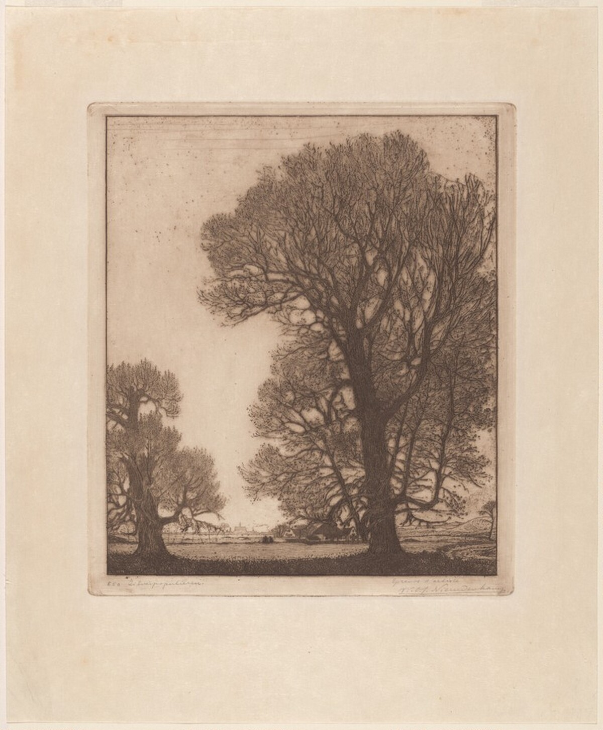 Poplars, Santpoort [Zilverpopulieren, Santpoort] by Wynand Otto Jan Nieuwenkamp