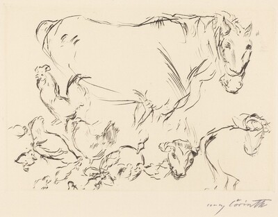Verschiedene Tierstudien (Animal Studies)