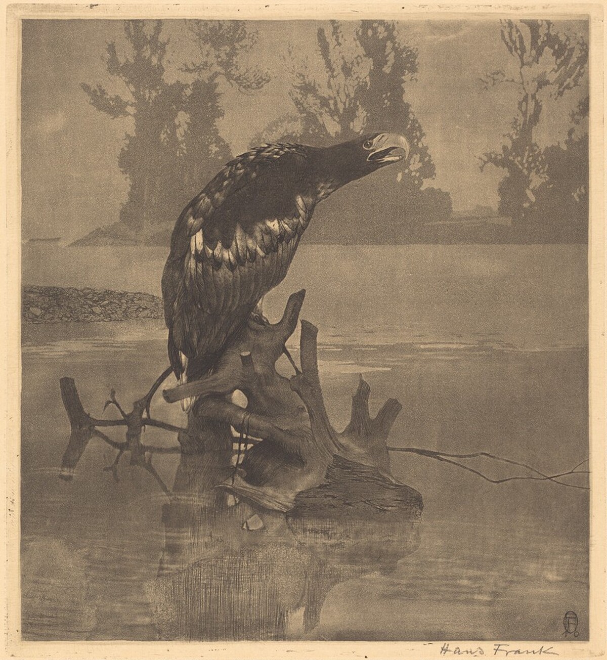 Bedraggled Eagle on a Stump by Hans Frank