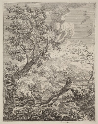 The Withered Tree