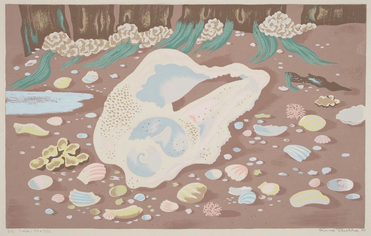 Sea Shells by Richard Floethe