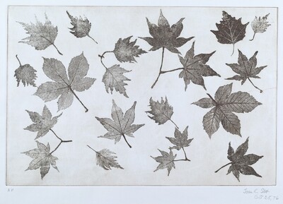 Leaves