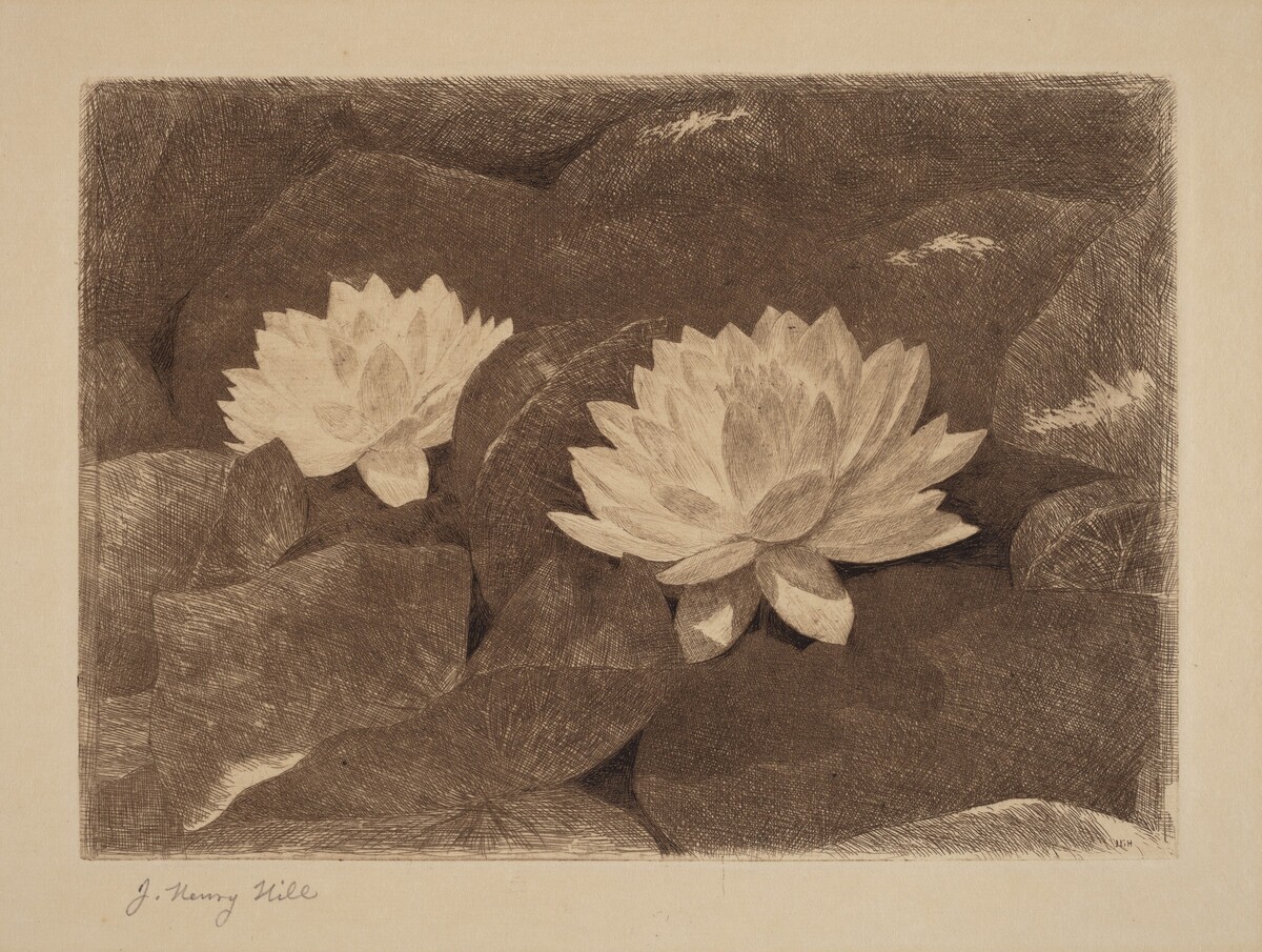 Waterlilies by John Henry Hill