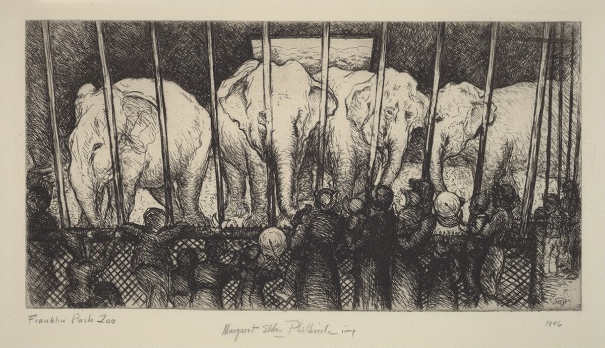Franklin Park Zoo by Margaret Elder Philbrick