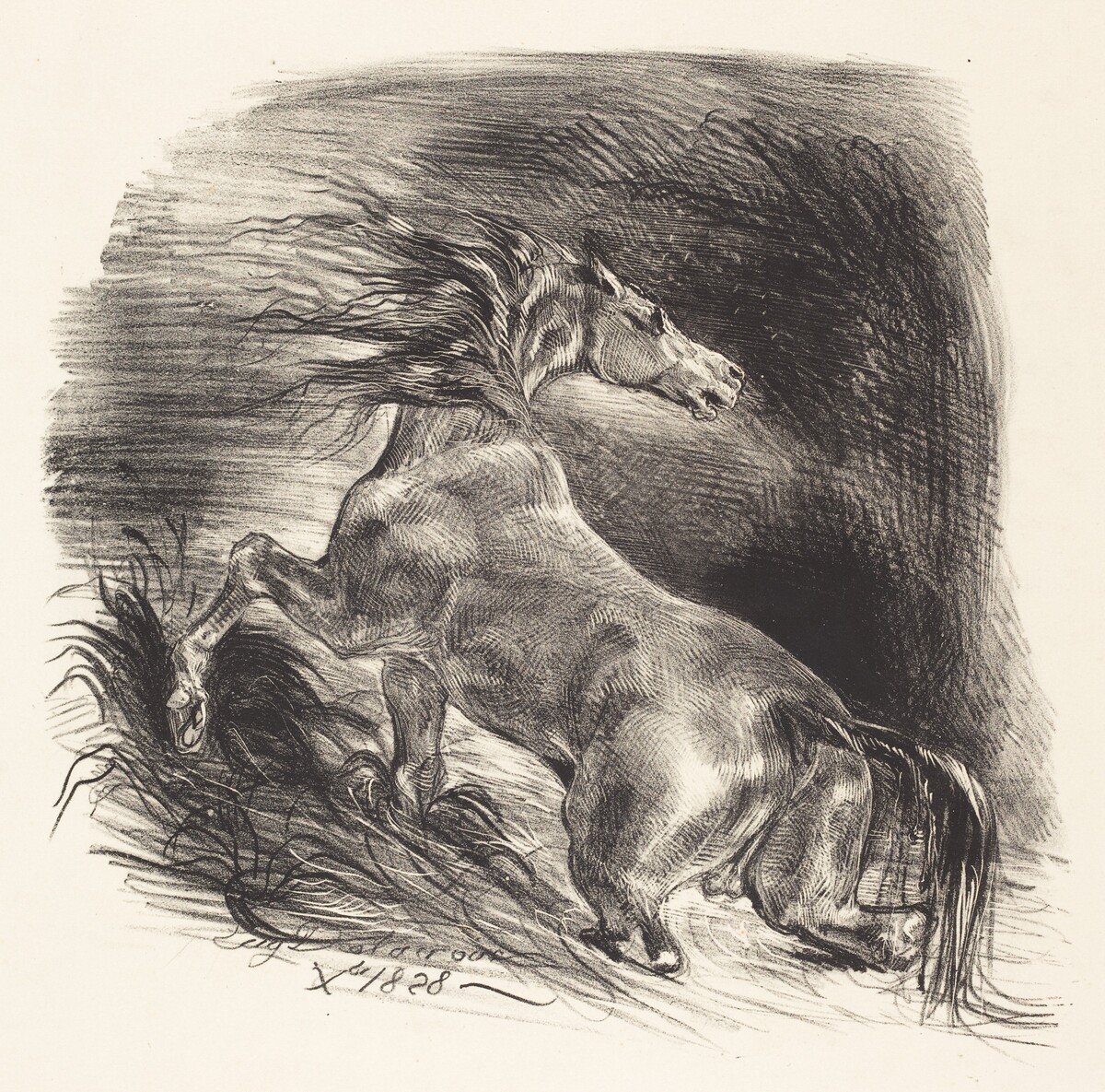 Wild Horse Coming out of the Water (Cheval sauvage) by Eugène Delacroix